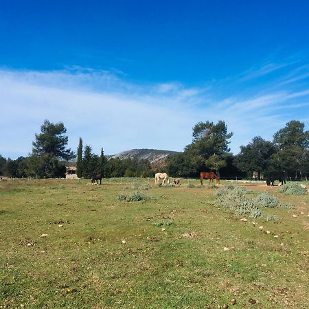 Centre Mediation Equine La Daouste Villa Jouques ภายนอก รูปภาพ