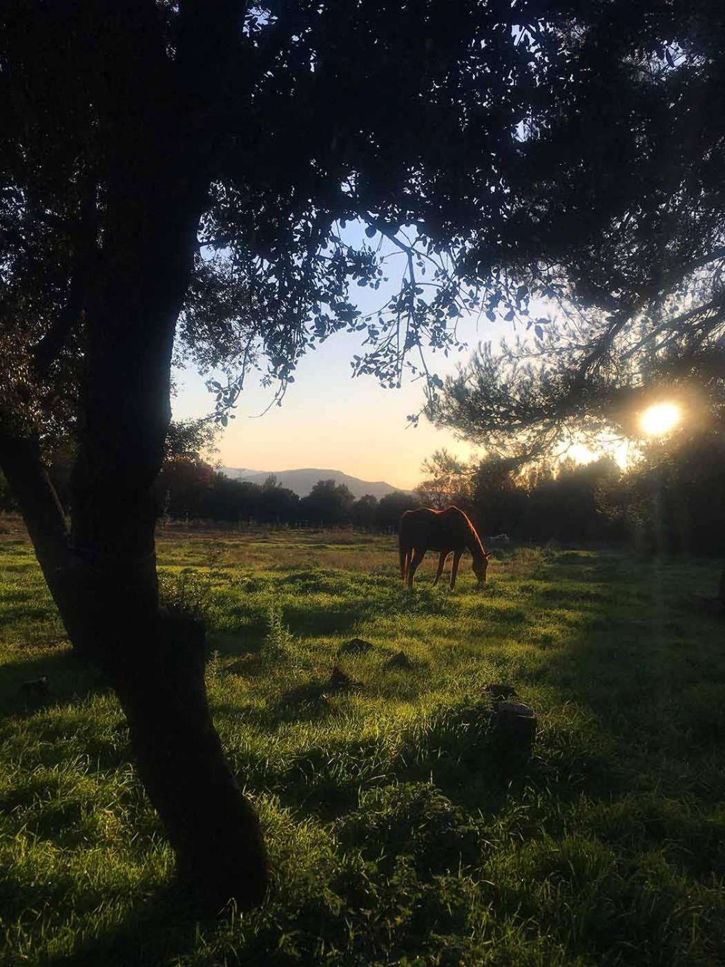 Centre Mediation Equine La Daouste Villa Jouques ภายนอก รูปภาพ