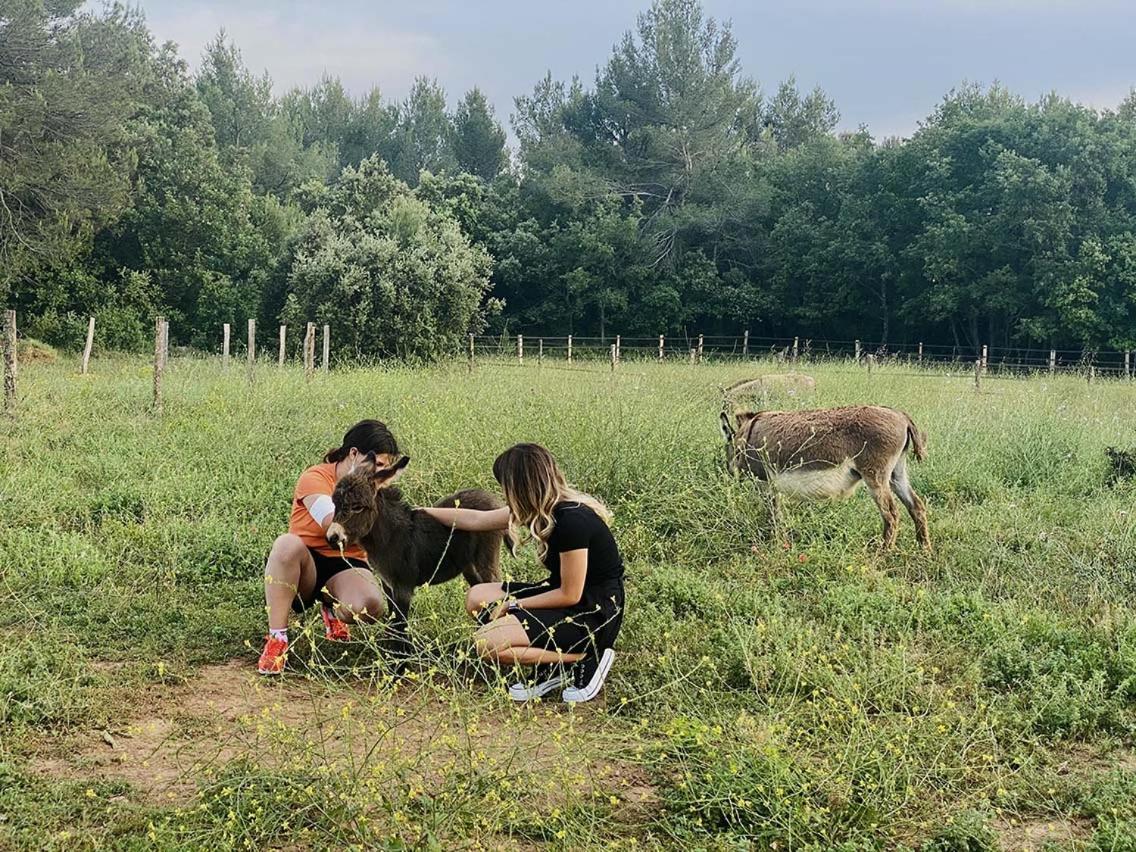 Centre Mediation Equine La Daouste Villa Jouques ภายนอก รูปภาพ