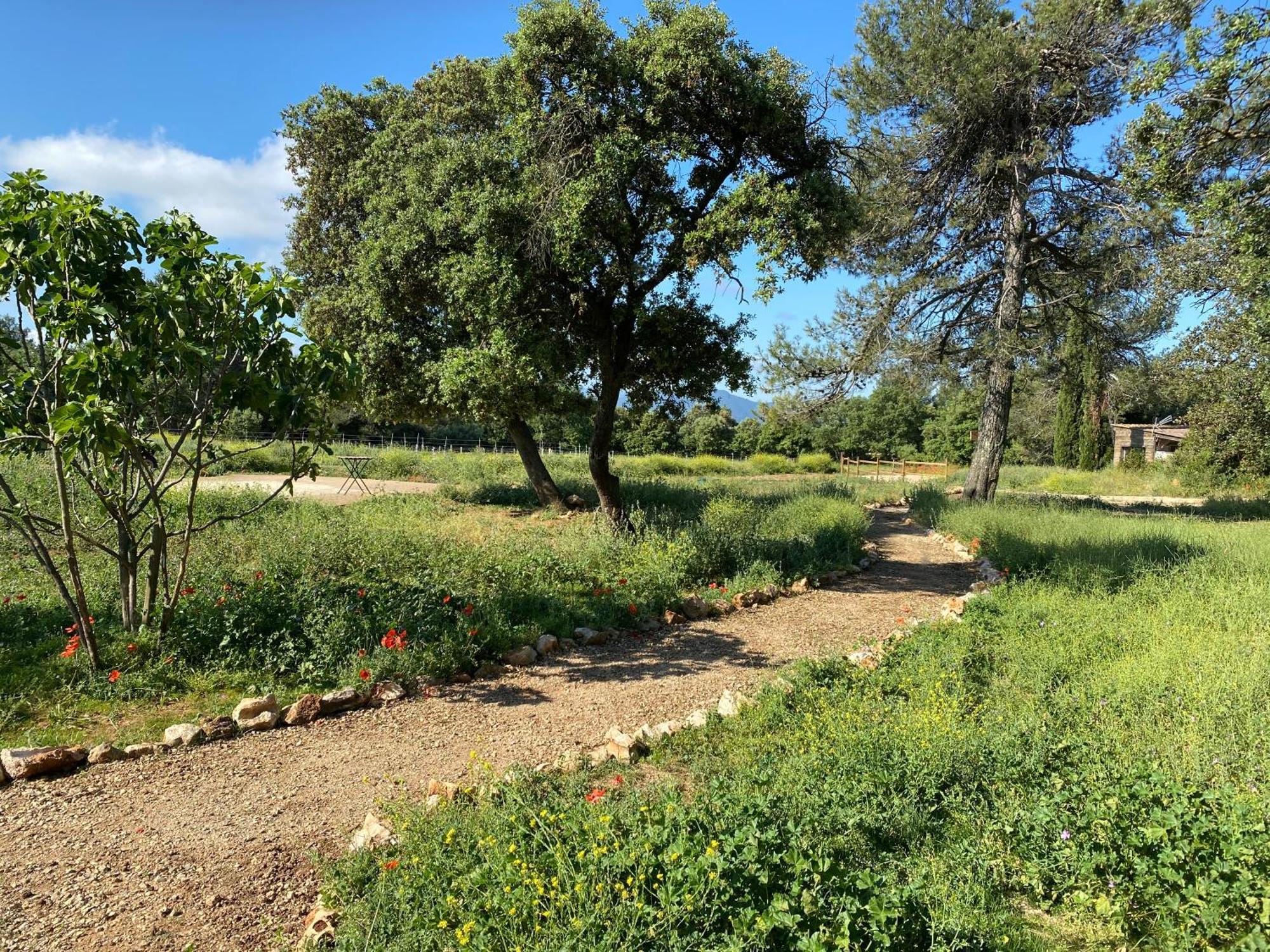 Centre Mediation Equine La Daouste Villa Jouques ภายนอก รูปภาพ