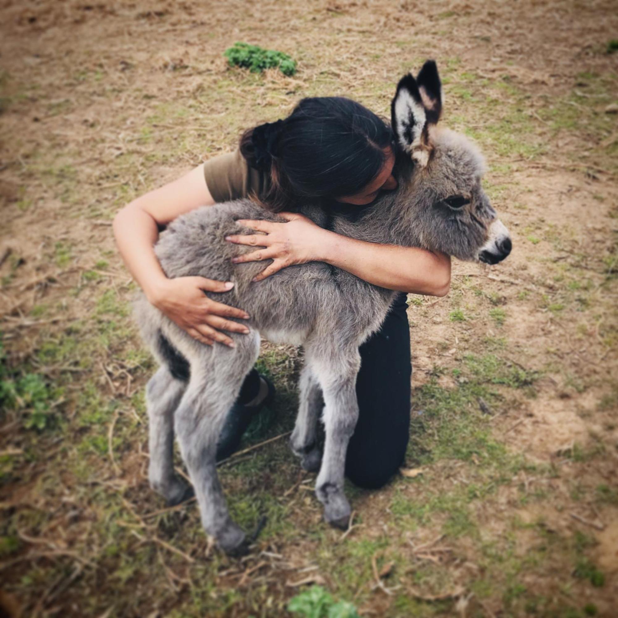 Centre Mediation Equine La Daouste Villa Jouques ภายนอก รูปภาพ