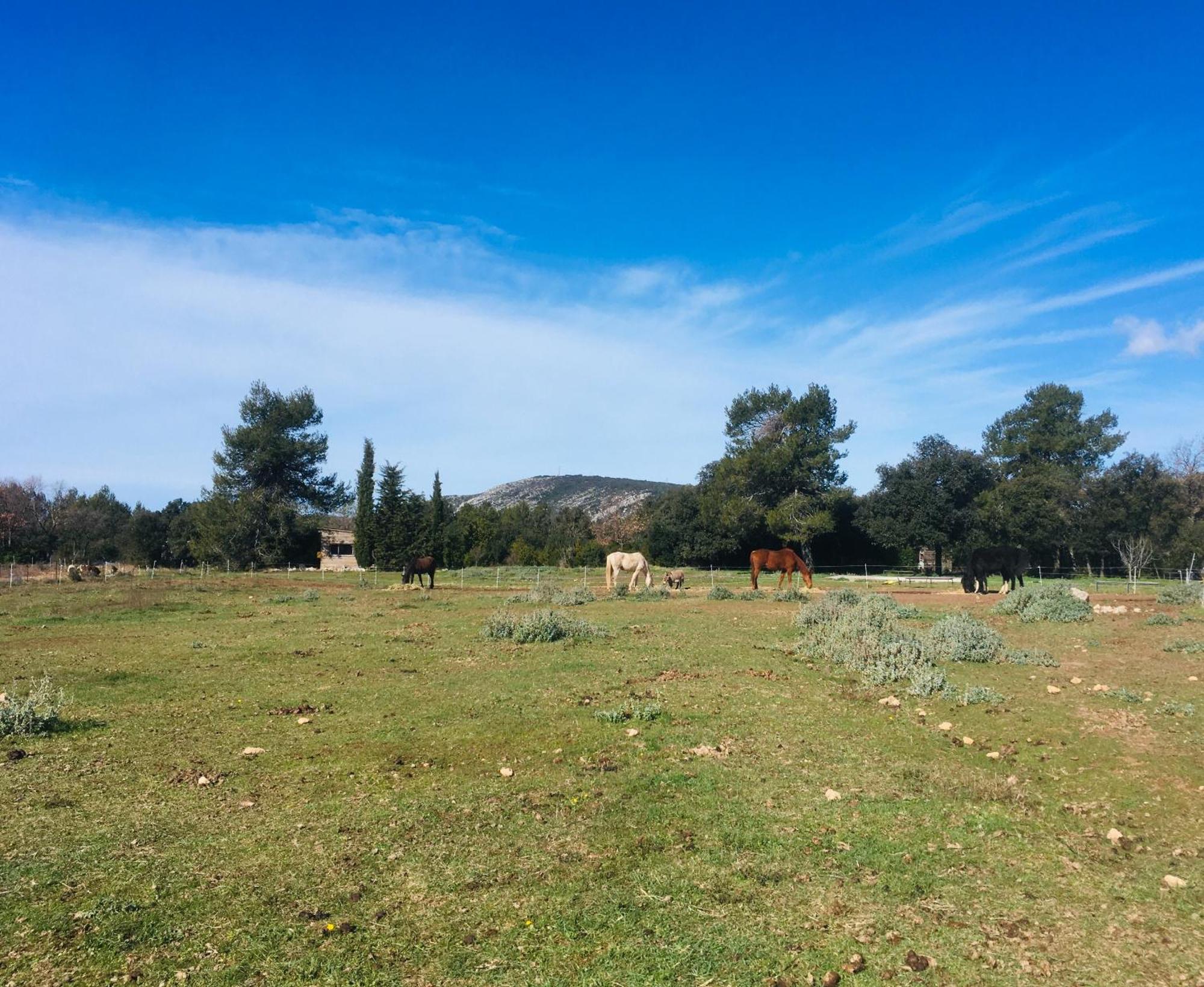 Centre Mediation Equine La Daouste Villa Jouques ภายนอก รูปภาพ